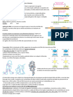 Resumo Transcrição