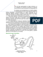 Digestión y Absorción Resumen