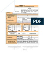 Formatos Riesgos