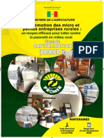 Promerlivretcapitalisation PDF 120706100501 Phpapp02