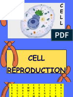 Ppt-Cell Reproduction