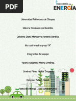 Evalucion Del Potencial de Una Celda de Combustible