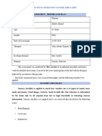 Shazain Assessment Report