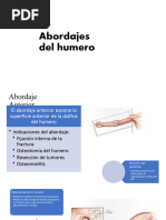 Abordajes Quirúrgicos de Humero