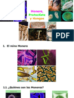 Tema 5. Los Reinos Monera, Protoctista y Hongos