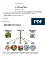 Dominios Clasificacion de Los Seres Vivos