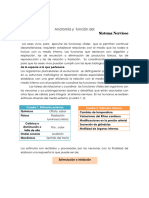 Anatomía y Función Del Sistema Nervioso: Cuadro 1. Estímulos Externos Cuadro 2. Estímulos Internos