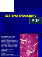 2sistema Endocrino