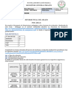 Informe Final Por Area