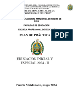 Plan Practica Preprofesiona II