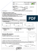 Devoir N2 Semestre 2 Physique 1AC 8