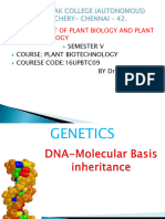 DNA Molecular Basis Inheritance