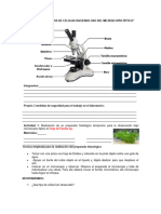 Reconocemos Celulas Haciendo Uso Del Microscopio Óptico