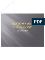 Anatomy and Physiology of Appendix