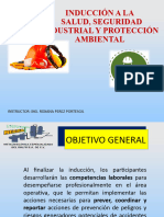 Curso de Induccion A La Seguridad Industrial Megsa