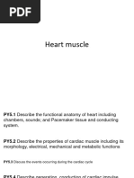 Cardiac Muscle