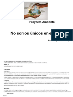 Proyecto Ambiental Integral