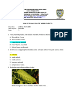 Soal Pasa Biologi KLS X TP23-24 - Kkurikulumpby