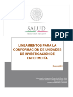 Lineamientos Unidades Investigacion Enfermeria