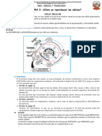 Lectura 3 - 4º Grado Cyt Ii Unidad 2024