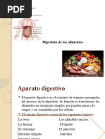 Practica de Digestion