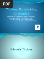 28,. Tiroides Paratiroides