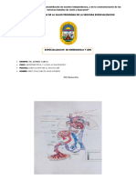 Práctica Circulacion, NST, CST, Mip