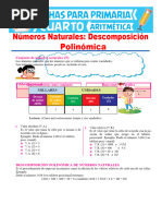 Descomposición Polinómica de Números Naturales para Cuarto de Primaria