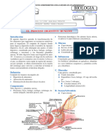 Aparato-Digestivo-Humano-4°to - X