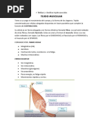 Resumen ANATOMÍA PRIMER PARCIAL