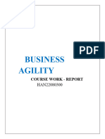 Business Agility - Report