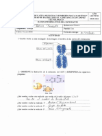 Actividad de Biología Q1P1