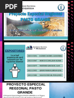 Proyecto Especial Pasto Grande - Grupo01