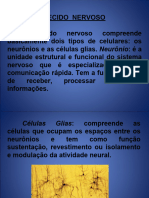 Aula de Neuro 2222 (1 Aula)