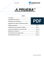 La Prueba en El Proceso Penal