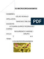 Los Microorganismos