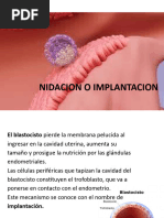 Nidacion o Implantacion