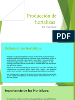 Producción de Hortalizas