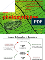 SV s4 Phyv Cours El Badaoui