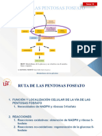 Bioquimica BBMB Tema 15 Vía Pentosas Fosfato