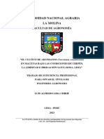 Trabajo de Suficiencia Arandano en Contenedores en Chepen