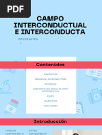 Interconductismo