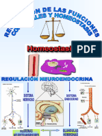 Homeostasis