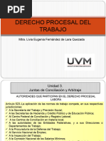 Presentación Derecho Procesal Del Trabajo