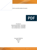 Caso de Presiones Atmosférica