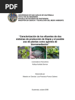 Caracterización de Los Efluentes de Dos Sistemas de Producción de Tilapia y El Posible Uso de Plantas Como Agentes de Biorremediación