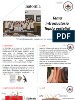 Seminario 1 de Anatomia