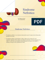 SD. Nefrotico y Nefritico