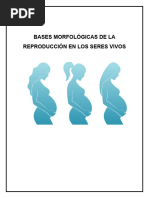 Bases Morfológicas de La Reproducción en Los Seres Vivos