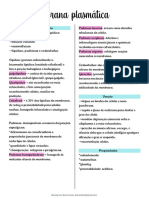 Membrana Plasmatica